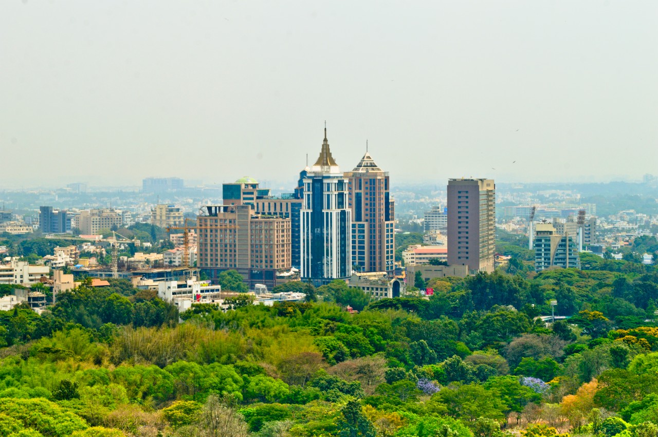 Bangalore skyline above a green tree canopy